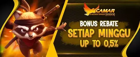 Rebate Slot Game 0.5% promotion image